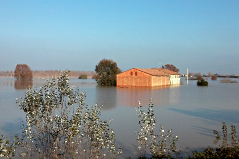 Piena Po 2014