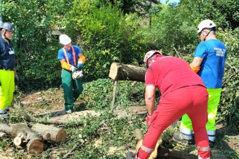 Emergenza maltempo luglio 2026_Protezione Civile Bentivoglio
